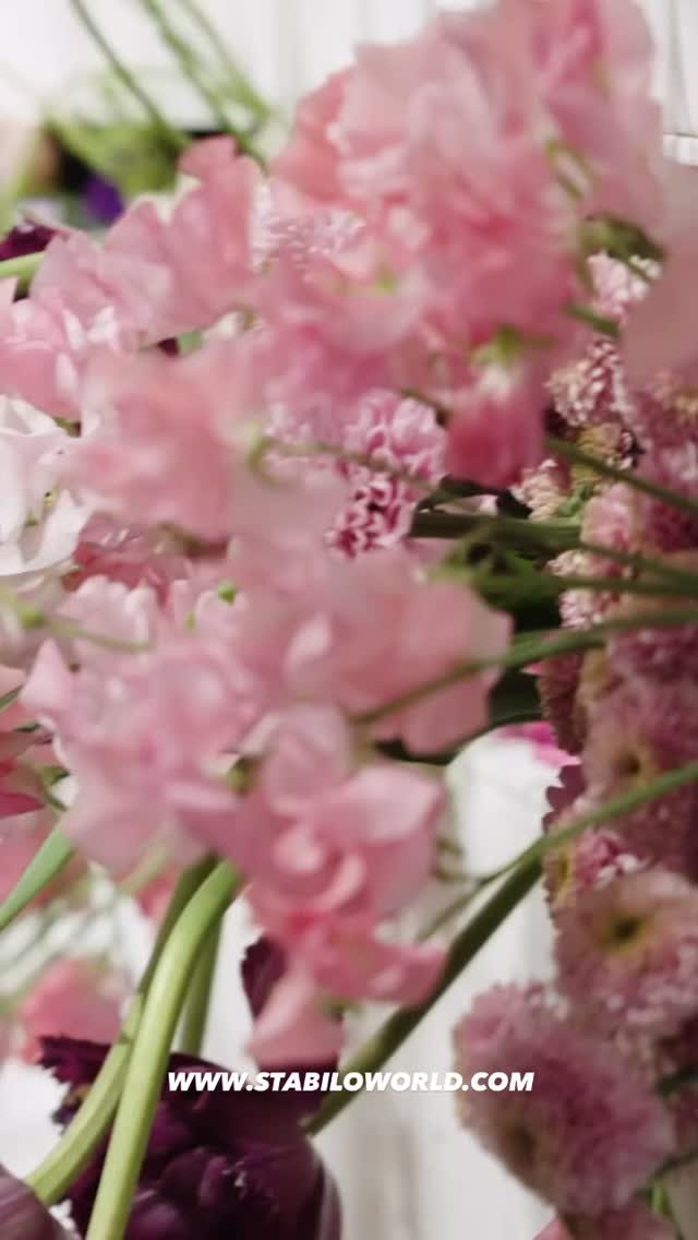 Instagram post from stabilo.international. This post is in position 0.